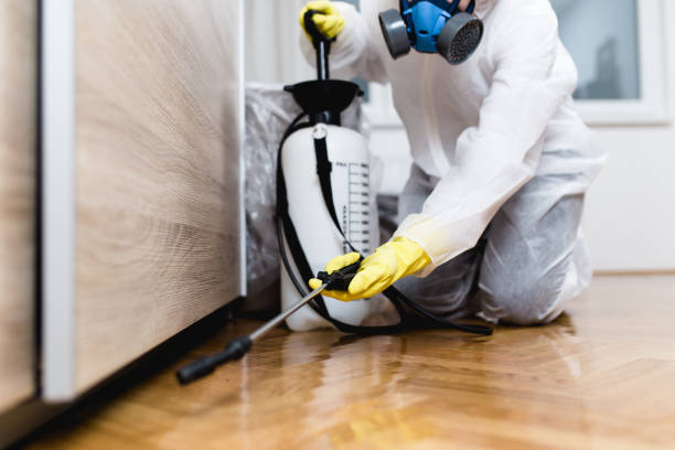 Wasp Removal Services in Franklin, IN