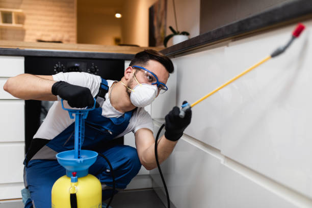 Best Cockroach Control Services  in Frankl, IN