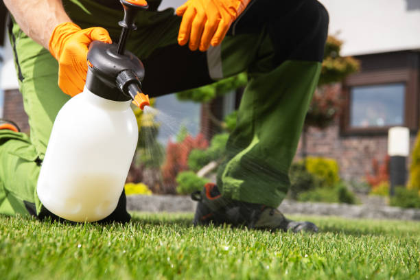 Best Flea Control Services  in Frankl, IN
