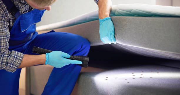 Best Pest Removal Services  in Frankl, IN