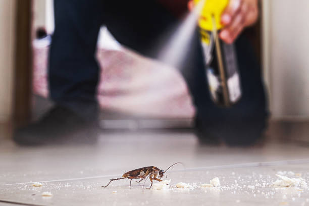 Best Mosquito Control Services  in Frankl, IN