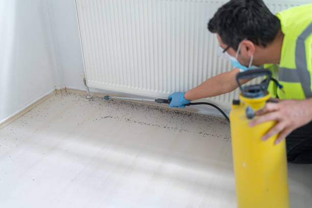 Reliable Franklin, IN Pest Control Solutions