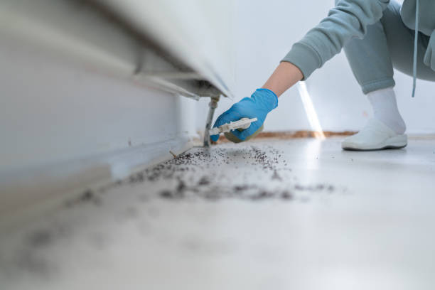 Best Emergency Pest Control  in Frankl, IN